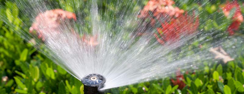 garden irrigation system