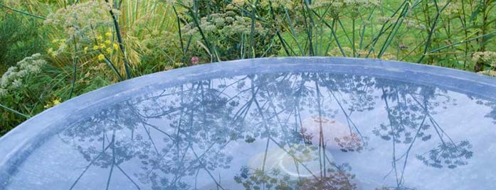 a garden water feature